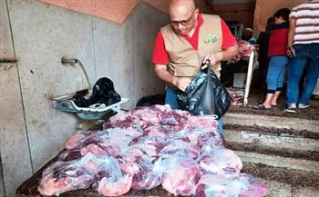 مبادرة "الناس لبعضهم" توزع 2750 كيلو لحم على الأولى بالرعاية في أسوان 