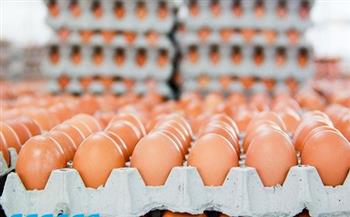 سعر البيض للمستهلك اليوم 23-7-2021