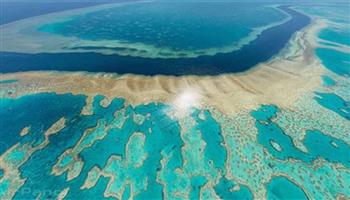 استراليا تتجنب ادراج الحاجز المرجاني في قائمة مواقع التراث العالمي المعرضة للخطر