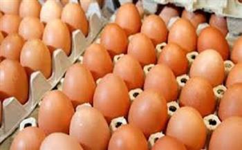 سعر البيض للمستهلك اليوم 24-7-2021