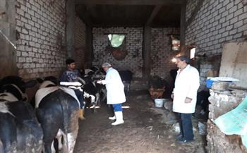 الزراعة: برامج تحصين الماشية جزء أساسى لمنع هدر الموارد