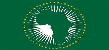 الاتحاد الإفريقي وتنزانيا يبحثان سبل التعاون في مجال مكافحة كورونا