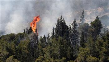 فريق من العلماء: حرائق الغابات في كندا قد تكلف المليارات وتقتل الآلاف