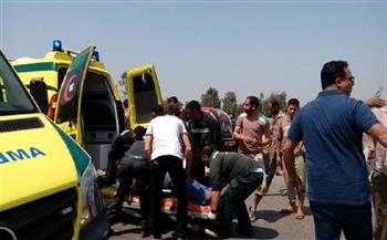 إصابة 11 شخصا بينهم 7 أطفال في حادث على طريق بورسعيد دمياط