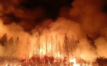 الحرائق المستعرة في غابات كاليفورنيا تجبر الآلاف على النزوح من مناطقهم