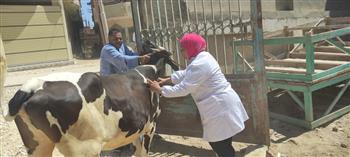 «الزراعة»: علاج وفحص أكثر من 4000 حيوان مجانًا لصغار المربيين بالقليوبية