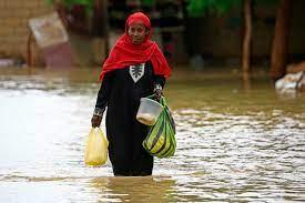 خبير مياه يحذر من دمار كبير بالسودان بسبب فيضان النيل هذا العام.. اعرف التفاصيل