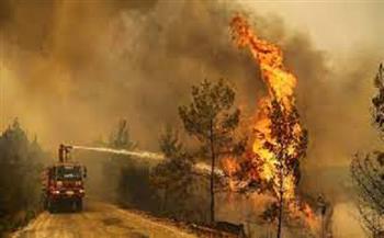 رجال الإطفاء فى جزيرة صقلية الإيطالية يكافحون حرائق الغابات