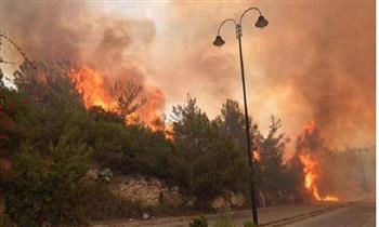 وفاة 4 مصريين في حريق غابات وصف بأنه الأسوأ في تاريخ قبرص