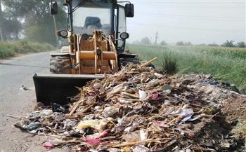 رفع 130 طن من القمامة والمخلفات بالفشن في بني سويف