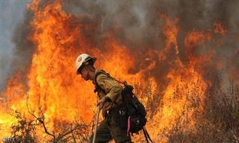  فرنسا: لم يتم إخماد حريق الغابة من الناحية الفنية