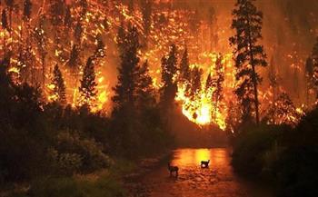 إخلاء مزيد من المنازل في مقاطعة بريتش كولومبيا الكندية مع استمرار حرائق الغابات