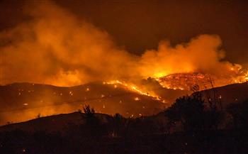 بتوجيهات رئاسية.. مصر تشارك في السيطرة على الحرائق المندلعة بغابات قبرص