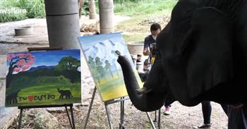 لبناء مأوى.. أنثى فيل ترسم لوحات فنية بمهارة عالية وتربح 86 ألف جنيه (فيديو)
