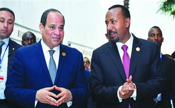 5 دول أفريقية تعلن دعمها لمصر فى قضية سد النهضة الإثيوبى
