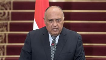 شكري: لجوء مصر والسودان لمجلس الأمن نتيجة التهديد الوجودي لشعبي البلدين