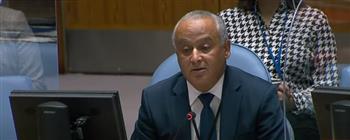 ممثل تونس أمام مجلس الأمن: ندعو لاتفاق ملزم بشأن سد النهضة