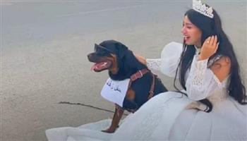 خبير قانوني يكشف عقوبة  البلوجر هبة مبروك بعد صور «زفافها مع كلب»