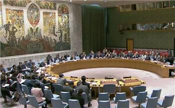  أماني الطويل: كلمة وزير الخارجية أمام مجلس الأمن «قوية» (فيديو)