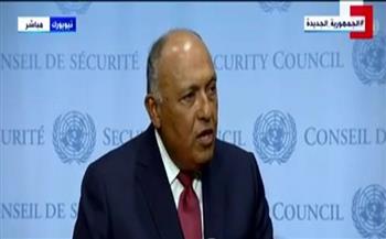 منظمات حقوقية: إثيوبيا لا زالت تراوغ وكلمة مصر أمام مجلس الأمن كشفت سبب فشل المفاوضات