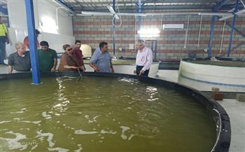 رئيس هيئة الثروة السمكية يتفقد مشروعات منطقة بورسعيد (صور)