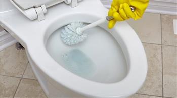 «تنظيف المرحاض» يحول سيدة لنجمة سوشيال ميديا 