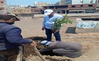 كفر الشيخ: زرع 1500 شجرة مثمرة وتطوير منظومة الإنارة العامة