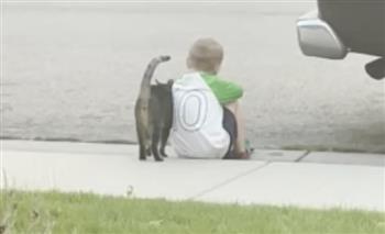 عاطفي للغاية.. قطة صغيرة تواسى صبي حزين (فيديو)