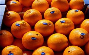 رئيس الإدارة المركزية للحجر الزراعي: مصر تفوقت على جميع دول العالم في تصدير البرتقال