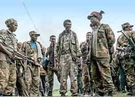 إثيوبيا تلغي وقف النار في تيجراي وتعلن مواجهة الجبهة الشعبية 