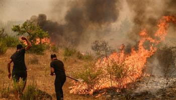 دول جنوب شرق أوروبا تقدم الدعم لمقدونيا الشمالية في مواجهة حرائق الغابات