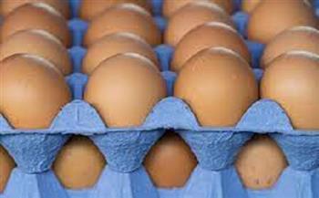 شعبة الدواجن تكشف أسباب ارتفاع أسعار البيض في يونيو 2021