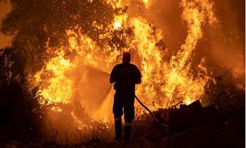 تزايد حرائق الغابات فى الجزائر ووفاة 28 فردًا من الجيش 