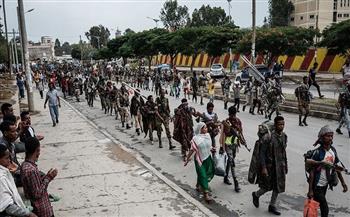 جماعة مسلحة تعلن تحالفها مع قوات تيجراي وتعد بتحالفات أكبر ضد حكومة إثيوبيا
