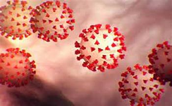 الصحة العالمية تحذر من تغييرات كارثية لفيروس كورونا بـ28 دولة 