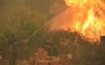 مسؤول جزائري: الحرائق الأخيرة مدبرة من أشخاص لايريدون الخير لبلدنا