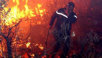 69 قتيلًا فى حرائق الغابات بالجزائر.. وجهود الإطفاء مستمرة