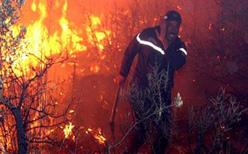 صدمة على «السوشيال ميديا» بعد حرق شاب جزائرى متهم بإشعال حرائق الغابات (فيديو)