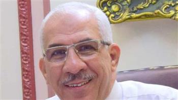برلماني: «حياة كريمة» تحقق ركائز العدالة الاجتماعية برؤية مصر 2030