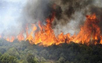 وزراء الداخلية العرب: نتابع حرائق الغابات فى الجزائر وتونس ونثق فى قدرتهما على مواجهتها