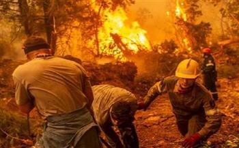    "الداخلية العرب" يعرب عن قلقه البالغ إزاء حرائق الغابات في تونس والجزائر