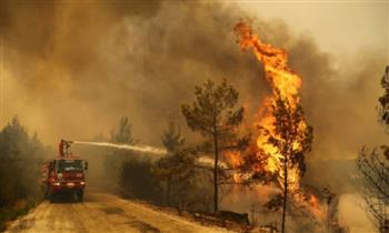 تركيا تعلن إخماد جميع حرائق الغابات في البلاد