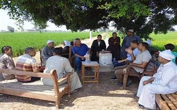 «زراعة الشرقية» تنفذ مدرسة حقلية لمزارعي الأرز بقرية كراديس فى ديرب نجم