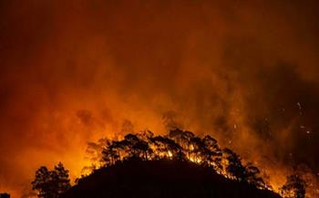 "الناتو" يقدم مساعدات للدول الحليفة لمواجهة حرائق الغابات
