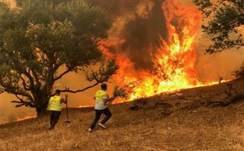 الجزائر تعلن إخماد حرائق ولاية تيزى وزو