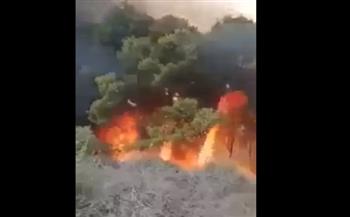 النيران تتحرك كأنها كائنات حيّة.. فيديو يحبس الأنفاس من حرائق الجزائر