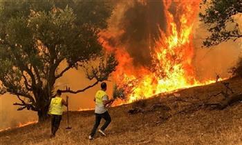 الجزائر: رجال الإطفاء يكافحون آخر البؤر المشتعلة