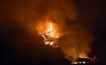 تونس: السيطرة على 13 من حرائق الغابات خلال الأسبوع الجاري