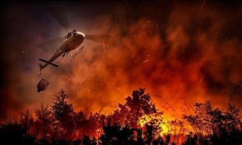 دراسة أمريكية تربيط بين حرائق الغابات وزيادة إصابات ووفيات بكورونا