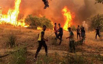 الجزائر: اعتقال العشرات على خلفية مقتل شاب بتهمة إشعال حرائق الغابات
